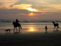 Imagen Paseos en caballo